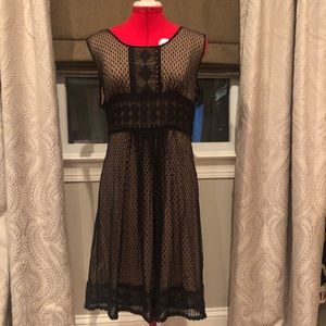Studio lace over lay dress XL